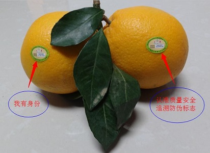 農(nóng)產(chǎn)品質(zhì)量安全追溯系統(tǒng)
